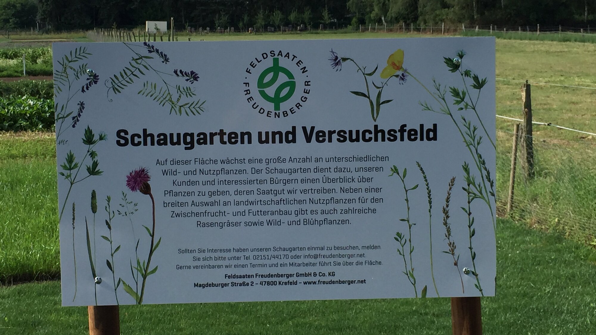 FF_Schaugarten.JPG FF_Schaugarten.JPG