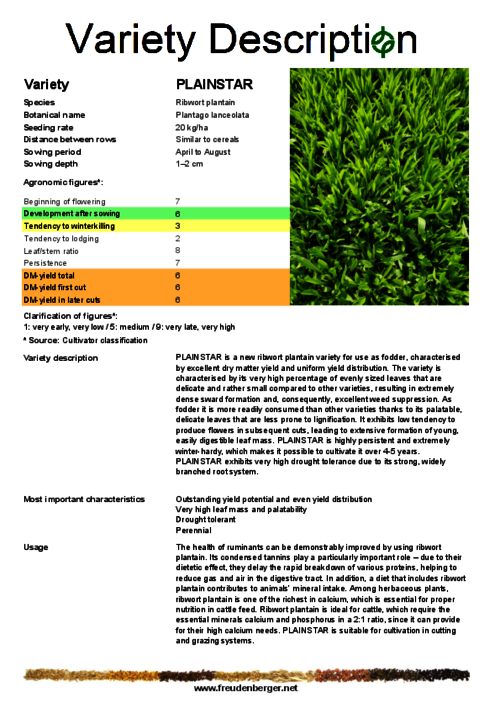 Variety_description_PLAINSTAR.pdf