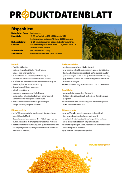 FF_Produktdatenblatt_Rispenhirse.pdf