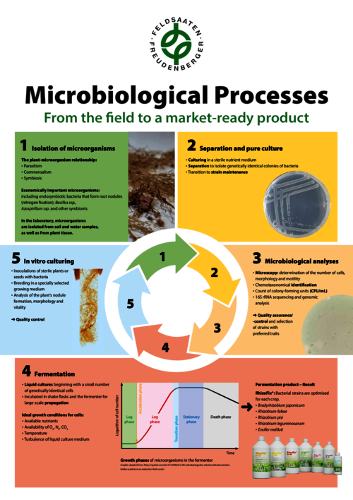 FF_Poster_Microbiological_processes.pdf