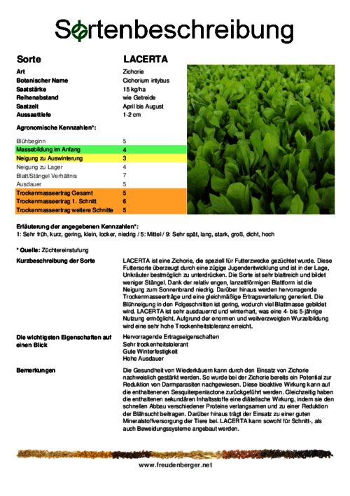 Sortenbeschreibung_LACERTA.pdf