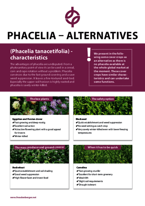 FF_Product_Data_Sheet_Phacelia_alternatives.pdf