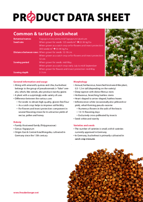 FF_Product_Data_Sheet_Buckwheat.pdf