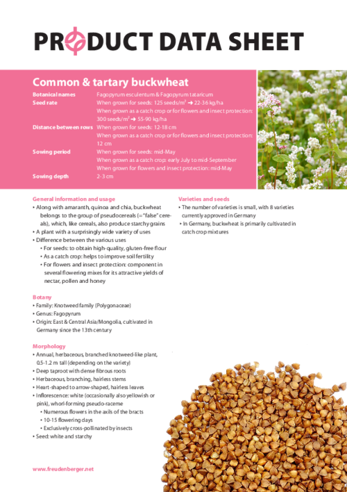 FF_Product_Data_Sheet_Buckwheat.pdf