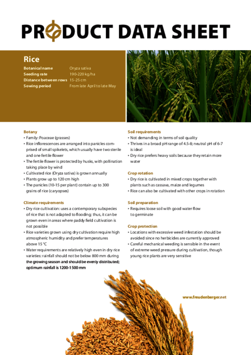 FF_Product_Data_Sheet_Rice.pdf