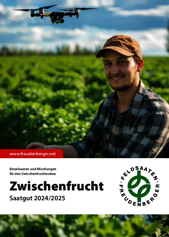 FF_Zwischenfrucht_2024_ES.pdf