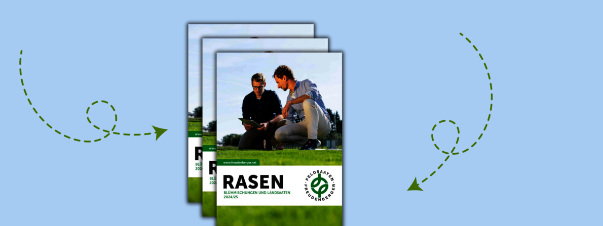 Header_News_Rasen_2024.png
