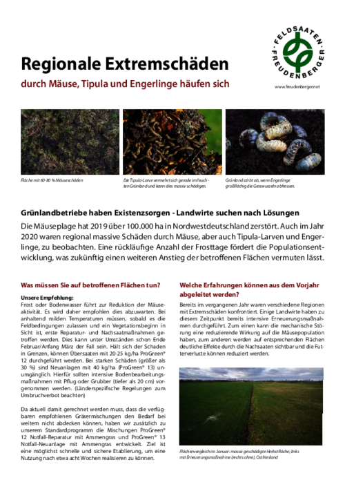 Artikel_Regionale_Extremschaeden.pdf
