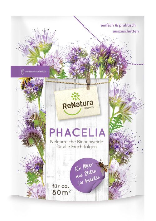 ReNatura_Phacelia.jpg