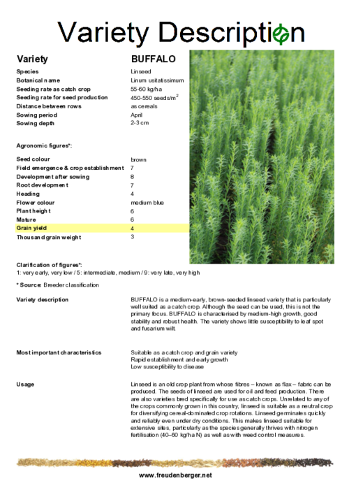 Variety_description_BUFFALO.pdf