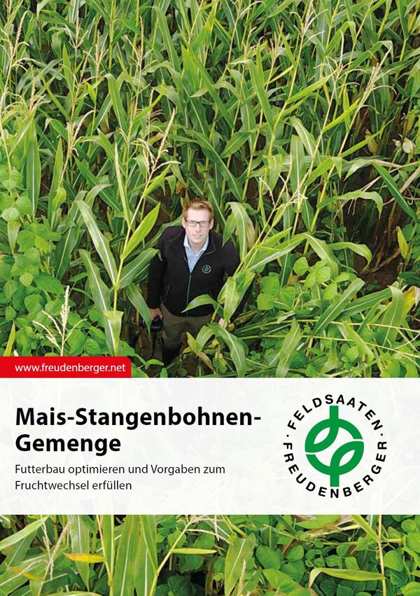 Titel_Mais-Stangenbohnen-Gemenge.JPG