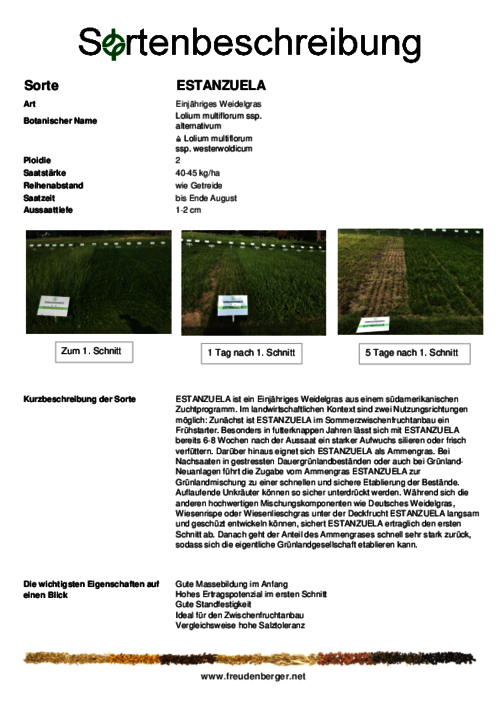 Sortenbeschreibung_ESTANZUELA.pdf