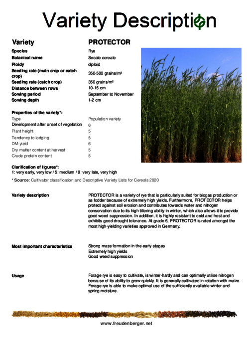 Variety_description_PROTECTOR.pdf