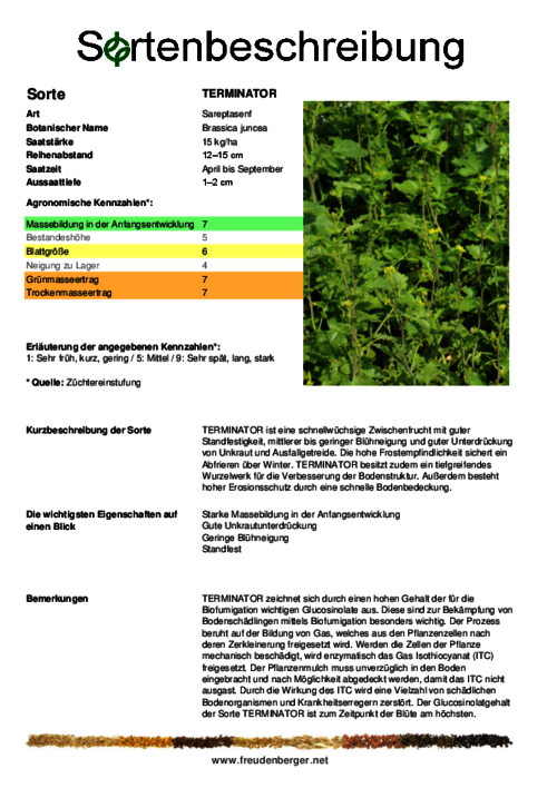 Sortenbeschreibung_TERMINATOR.pdf