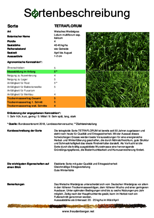 Sortenbeschreibung_TETRAFLORUM.pdf