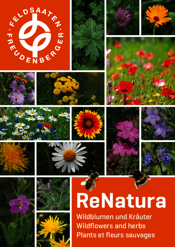 FF_ReNatura_ES.pdf FF_ReNatura_ES.pdf