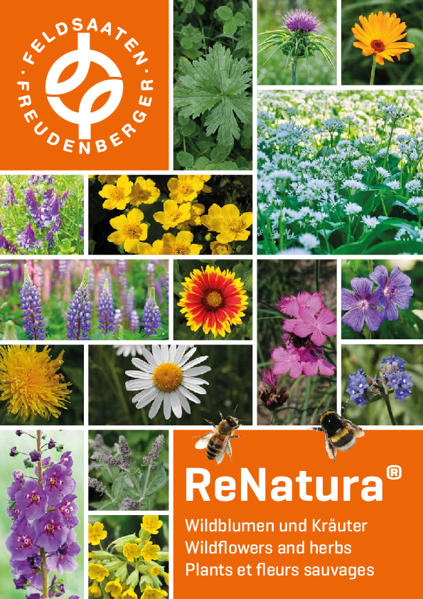 FF_ReNatura_ES.pdf