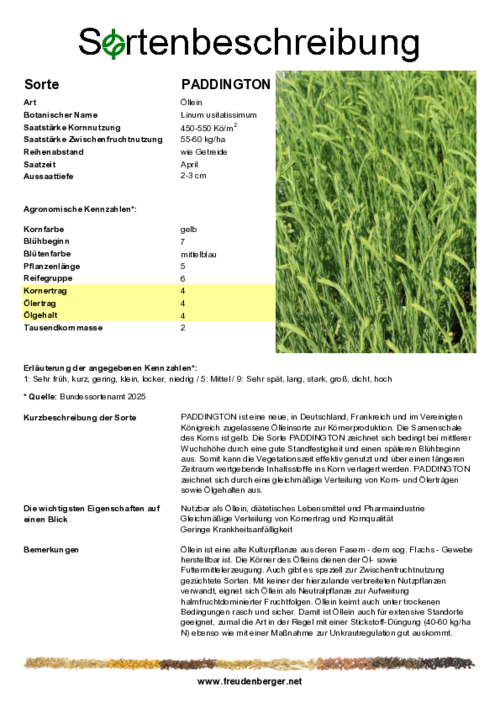 Sortenbeschreibung_PADDINGTON.pdf
