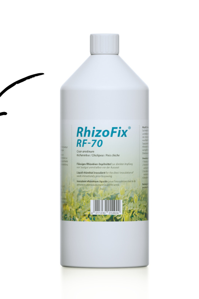 Header_News_RizoFix_70_ENG.png