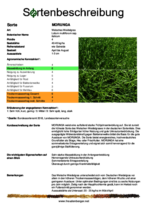 Sortenbeschreibung_MORUNGA.pdf