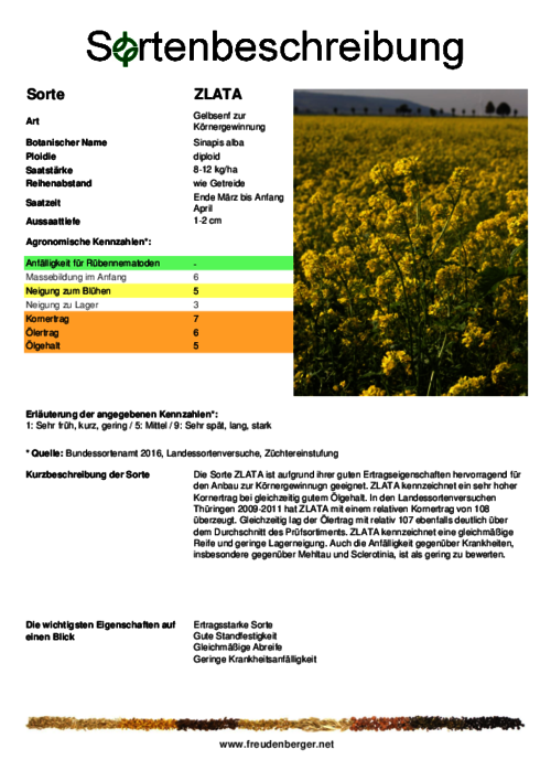 Sortenbeschreibung_ZLATA-Korngewinnung.pdf