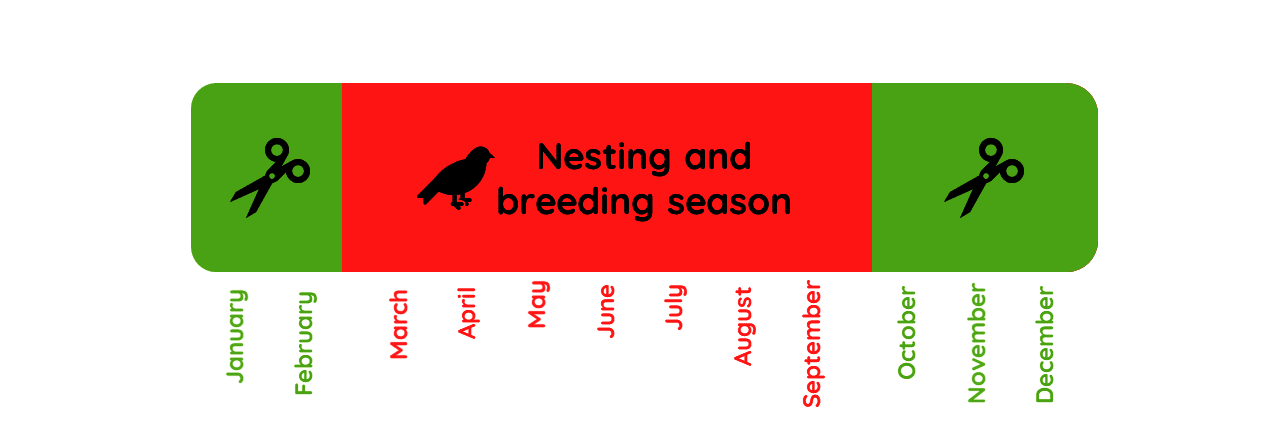 Nesting_and_breeding_season.png