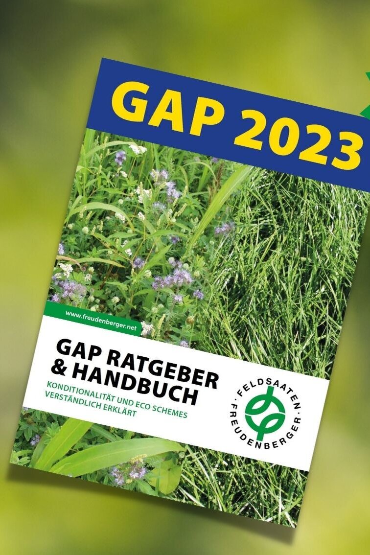 Header_News_GAP_Ratgeber__120_x_30_.jpg