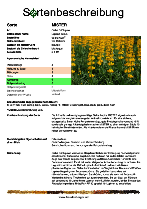 Sortenbeschreibung_MISTER.pdf