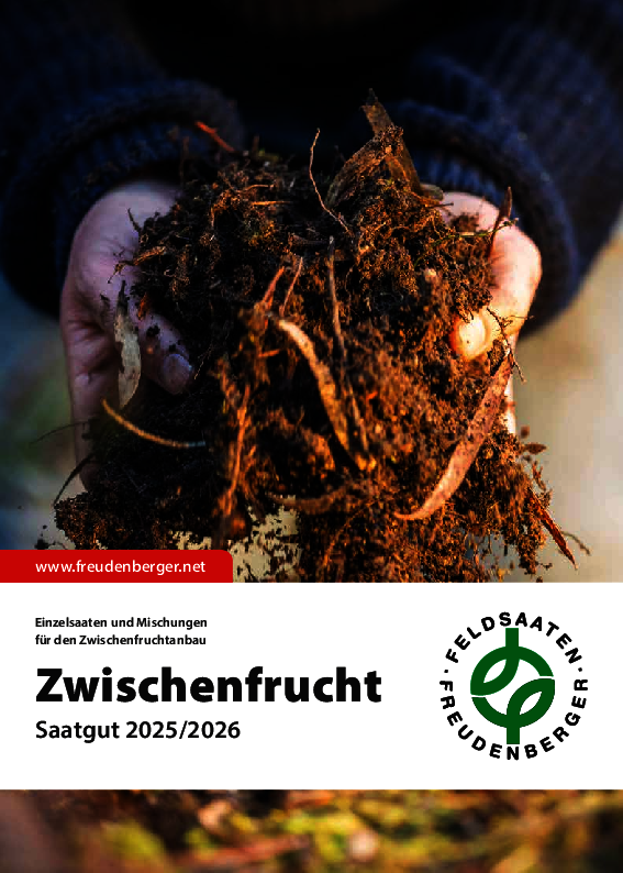FF_Zwischenfrucht_2025_ES.pdf