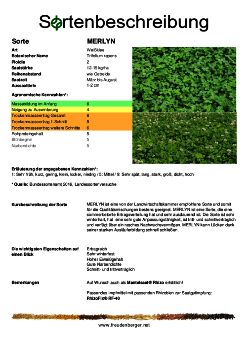 Sortenbeschreibung_MERLYN.pdf