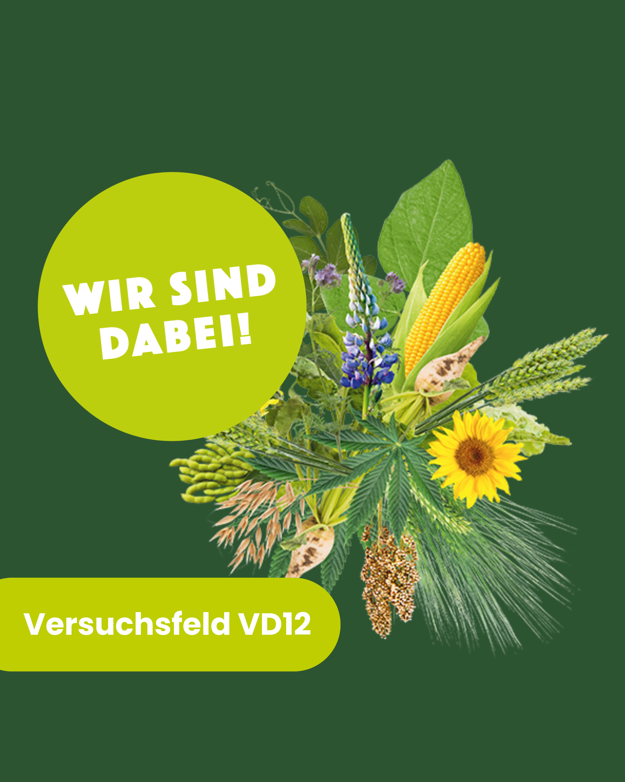DLG_Feldtage_2026.png