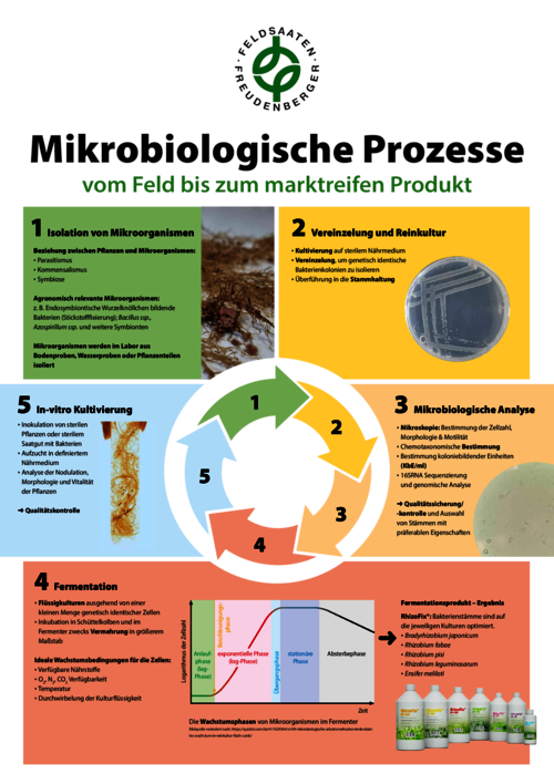 FF_Poster_Mikrobiologie.pdf