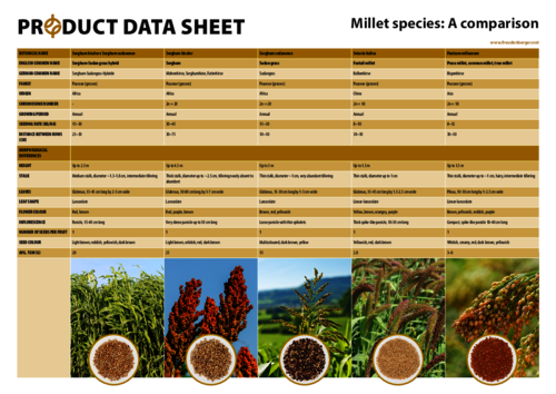 FF_Product_Data_Sheet_A_comparison_of_millet_species.pdf