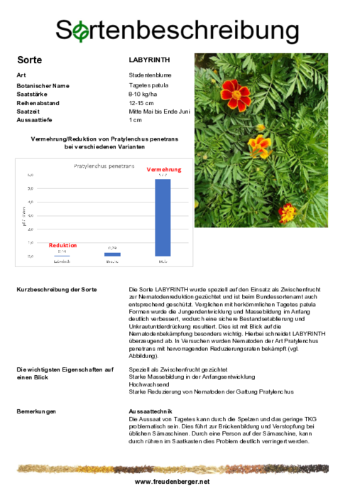 Sortenbeschreibung_LABYRINTH.pdf