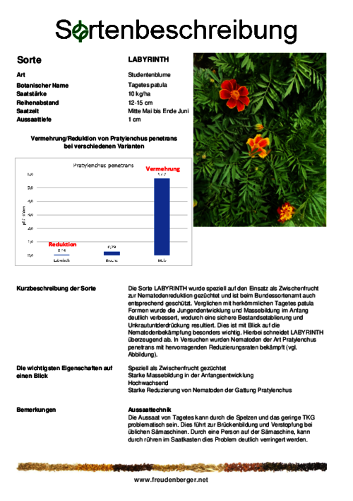 Sortenbeschreibung_LABYRINTH.pdf