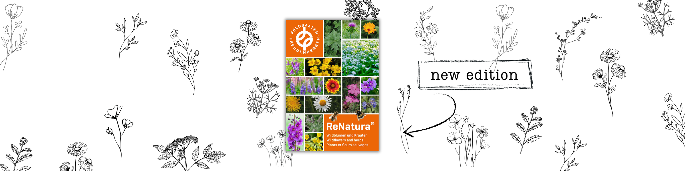 Header_LW_ReNatura_Catalogue_2026_ENG.png