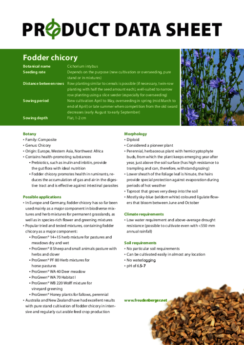 FF_Product_Data_Sheet_Fodder_chicory.pdf