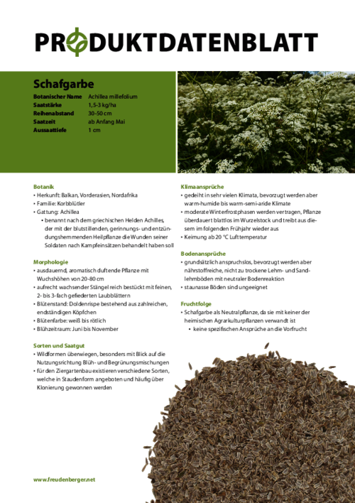 FF_Produktdatenblatt_Schafgarbe.pdf