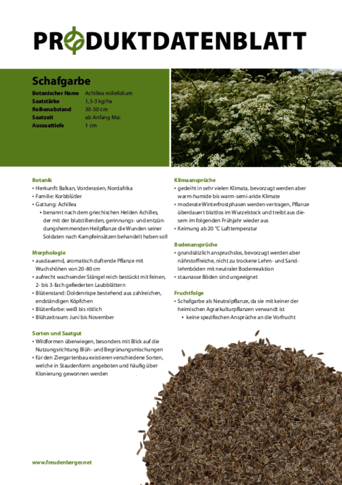 FF_Produktdatenblatt_Schafgarbe.pdf