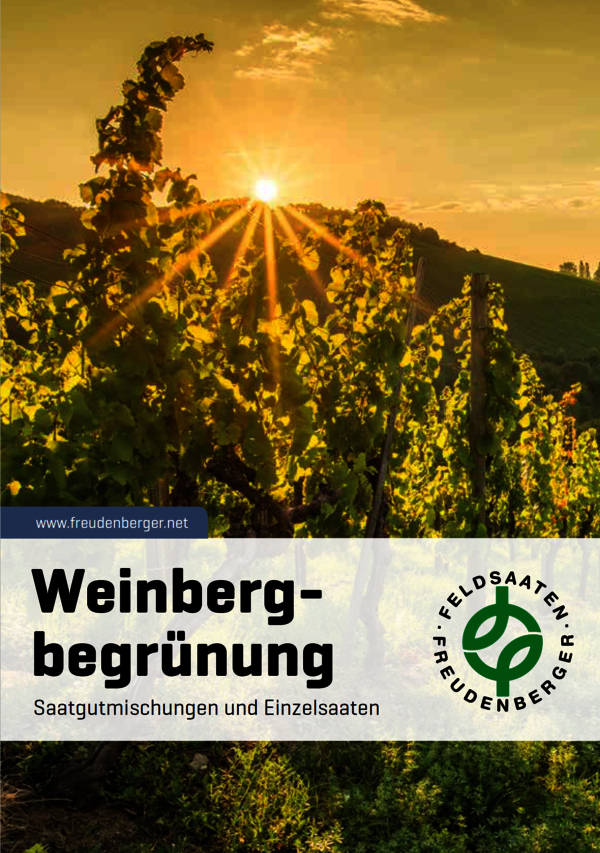 Weinbergbegruenung.PNG