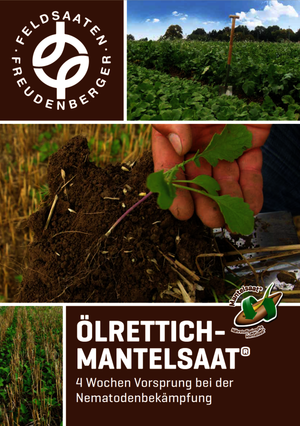 OElrettich_Mantelsaat.PNG