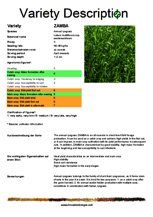 Variety_description_ZAMBA.pdf
