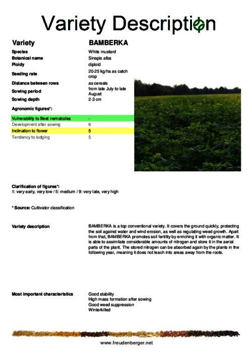 Variety_description_BAMBERKA.pdf