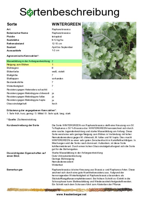 Sortenbeschreibung_WINTERGREEN.pdf