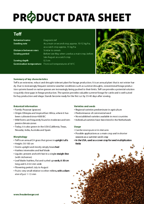 FF_Product_Data_Sheet_Teff.pdf