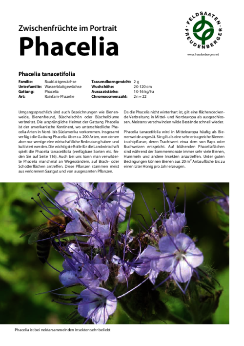 Artikel_Im_Portrait_Phacelia.pdf