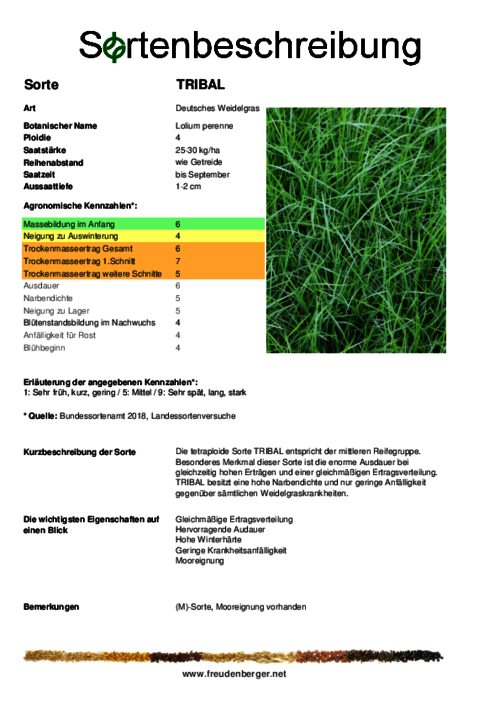 Sortenbeschreibung_TRIBAL.pdf