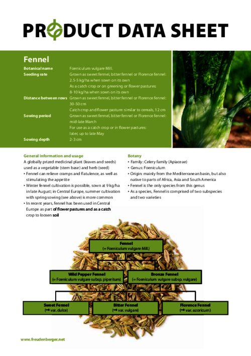 FF_Product_Data_Sheet_Fennel.pdf