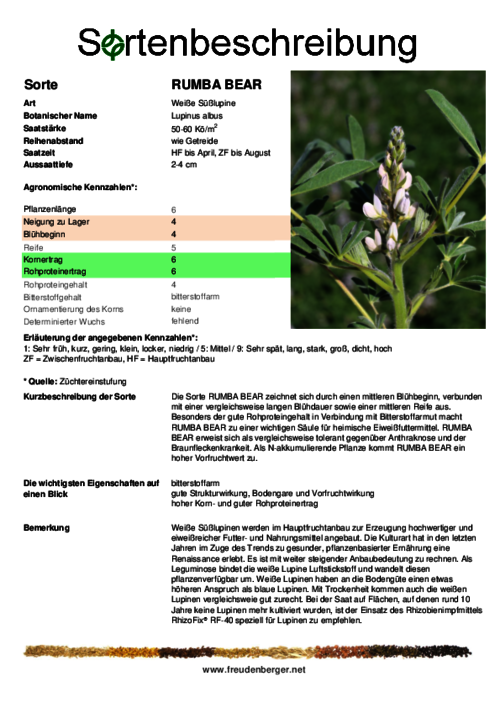 Sortenbeschreibung_RUMBA_BEAR.pdf Sortenbeschreibung_RUMBA_BEAR.pdf