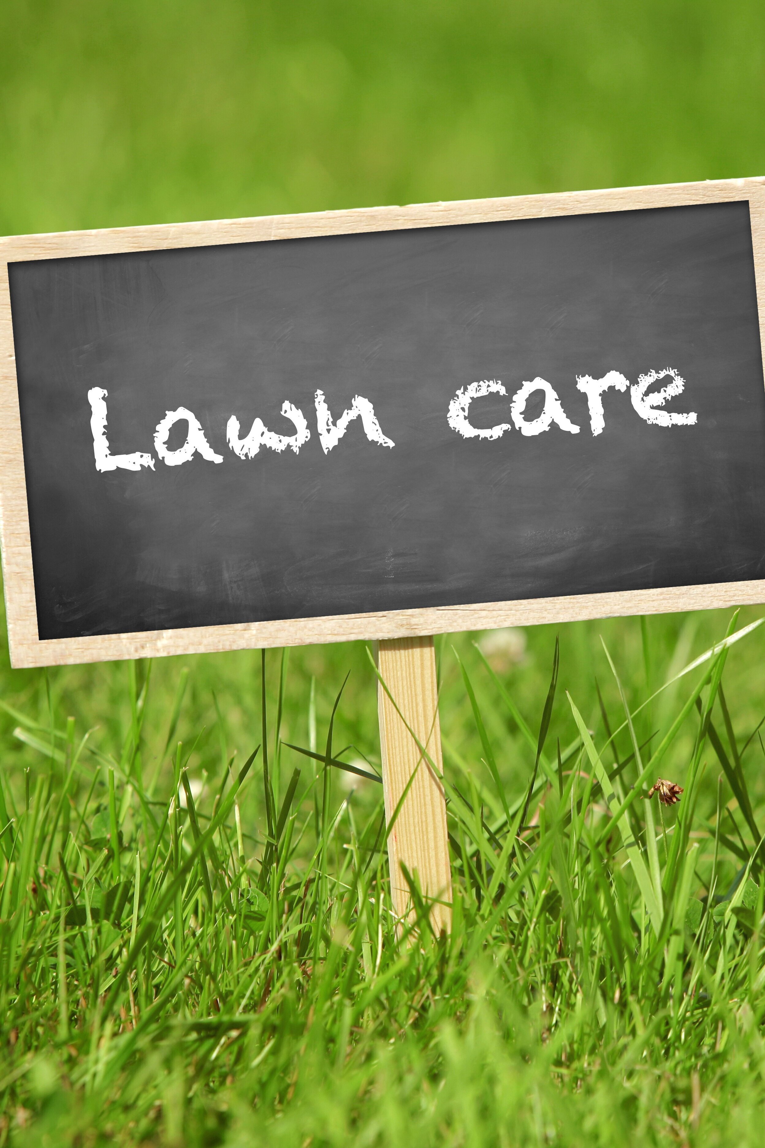 Lawn_care.jpg